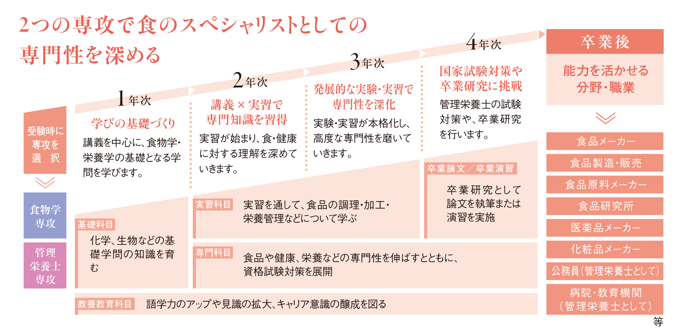 4年間の学びの流れ