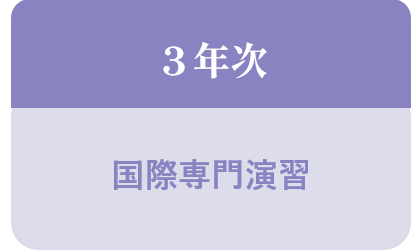 3年次 国際専門演習