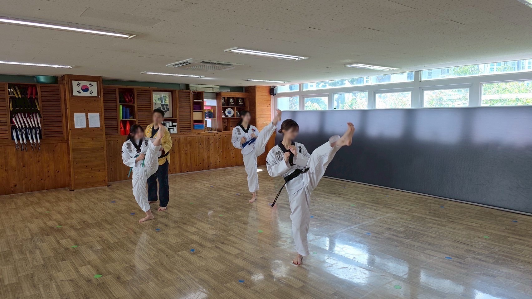 共立女子大学・共立女子短期大学 テコンドー部
