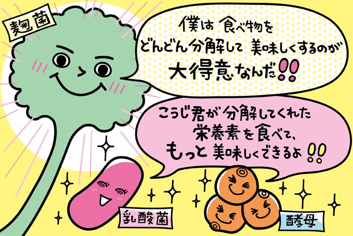 和食の うまみ を生み出す微生物の正体 共立女子大学 短期大学