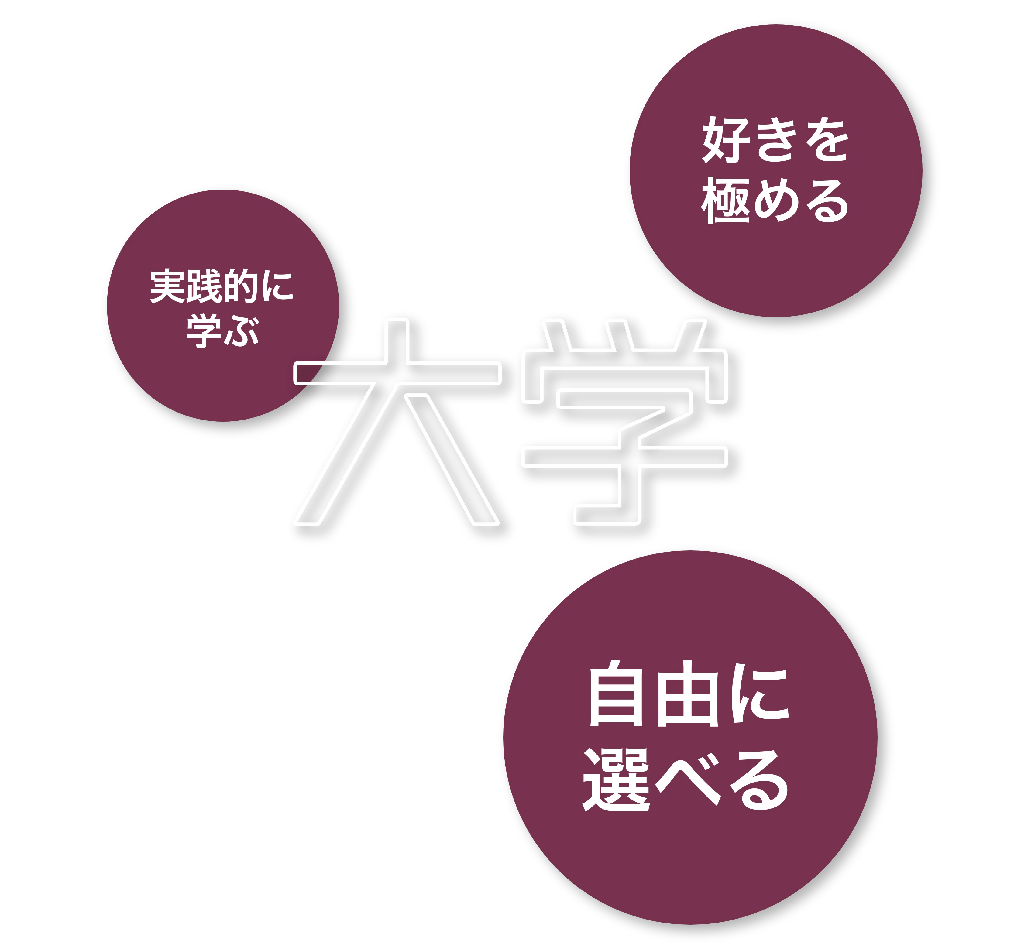 大学は実践的に学び、好きを極め、自由に選べる