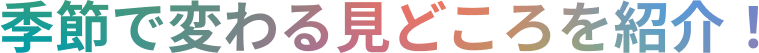 季節で変わる見どころを紹介!
