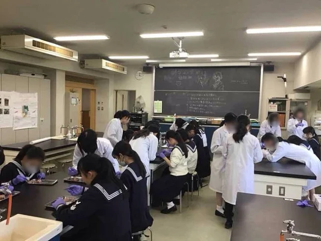 【部活動🏐見学・体験】
中1、高1の部活動見学、体験入部が始まりました。1年生はもちろん、初めて後輩ができる2年生がとても生き生きと嬉しそうにしている姿が印象的でした。
皆、どの部活に決めるのでしょうか？？楽しみですね😊