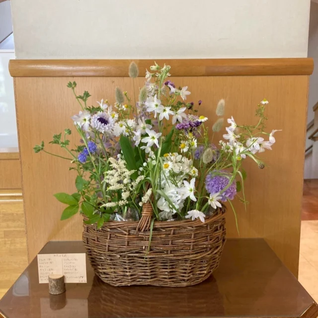 【ＰＴＡ活動報告】
ＰＴＡ生活部の保護者の方が、校内にお花を生けてくださっています💐
今週は、５月１日の「スズランの日」に合わせて正面玄関にはスズランを基調としたお花を生けてくださいました🌼
お化粧室には、スカビオサとリューココリーネを飾ってくださり、爽やかな休み時間が過ごせますね✨