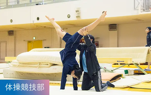 体操競技部
