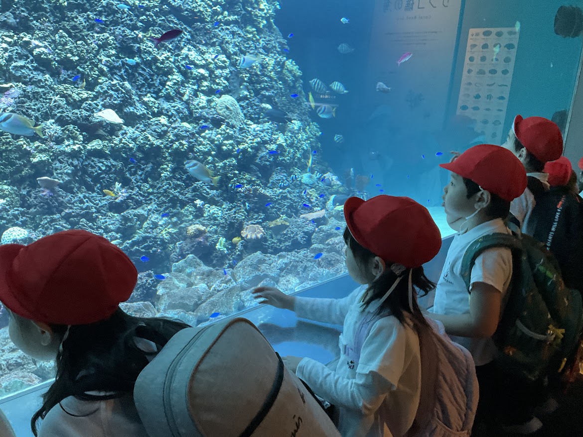 こばと組（年長組）がお別れ遠足で葛西臨海水族園へ行きました
