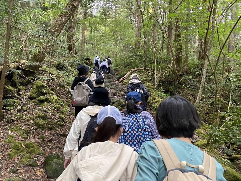 中1、富岳風穴・鳴沢氷穴に行ってきました｜NEWS 詳細｜ご案内｜共立