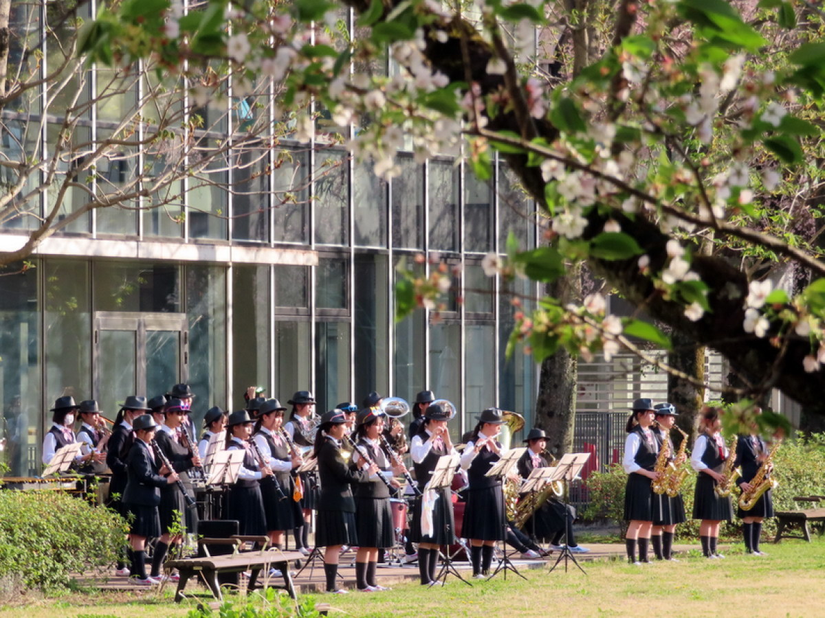 青葉展開催中！｜NEWS 詳細｜ご案内｜共立女子第二中学校高等学校