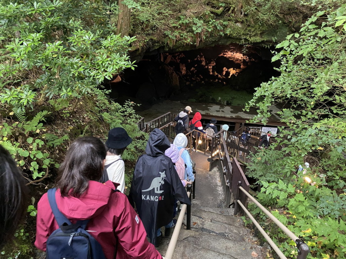 中1、富岳風穴・鳴沢氷穴に行ってきました｜NEWS 詳細｜ご案内｜共立